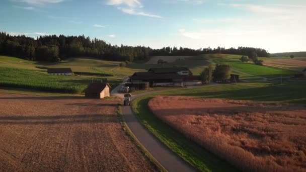 Трактор Едет Пустой Сельской Дороге Везет Стопки Сена Ферму Золотом — стоковое видео