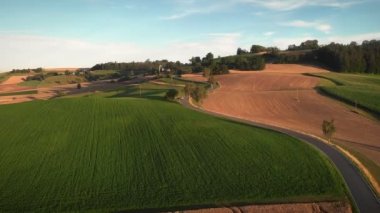 Arabalar gün batımında asfalt yolda çayırların ve çayırların içinden geçiyor. Sıcak akşam günbatımında kırsal bölgelerde buğday ve mısır tarlalarından araba geçiyor. Ulaştırma ve tarım işleri