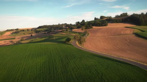 Empty Winding Asphalt Road Yellow Green Agriculture Fields Evening Sunset — 图库视频影像