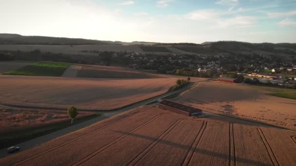 Amazing Golden Sunset Yellow Wheat Fields Agriculture Fields Meadows Farmland — Vídeos de Stock