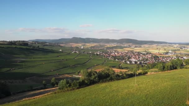 Luchtfoto Van Wijngaarden Groene Heuvels Zwitserland Wijngaard Middagzon Vliegen Druivenvelden — Stockvideo