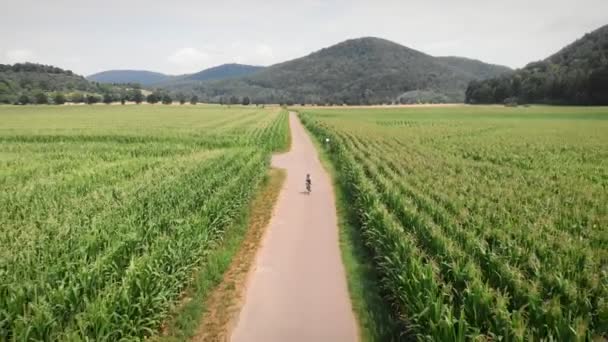 Cycling Activity Cyclist Sportswear Helmer Riding Bicycle Green Summer Fields — Video