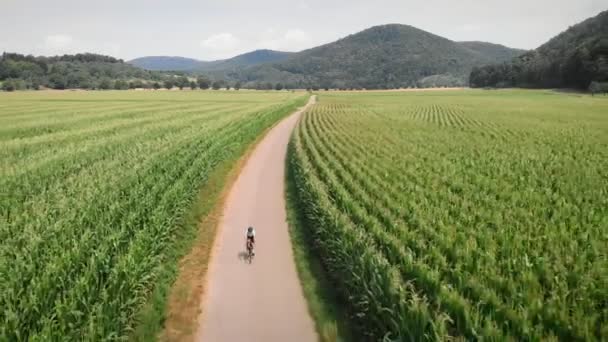 Cyclist Traveling Scenic Road Green Fields Woman Riding Bicycle Green — Video