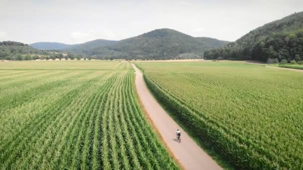 Bike Ride Narrow Countryside Road Surrounded Green Fields Sunny Summer — Video