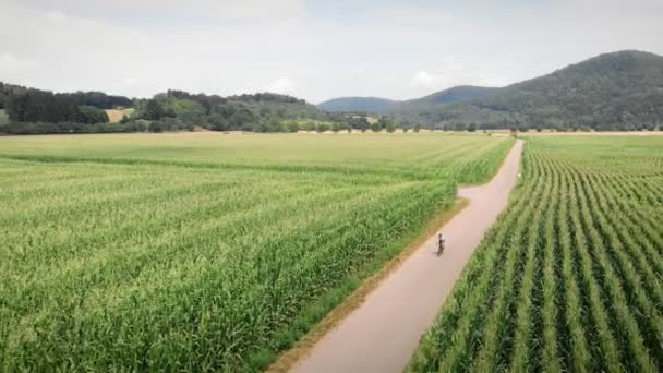 Cycling Concept Woman Cycling Bike Narrow Countryside Road Surrounded Green — Video