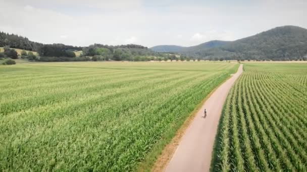 Mladá Žena Jezdí Kole Přes Zelená Pole Cyklista Cyklistické Stezce — Stock video