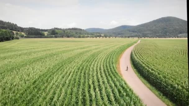 Cyklistický Koncept Jízda Kole Zelených Zemědělských Polích Venkově Žena Kole — Stock video