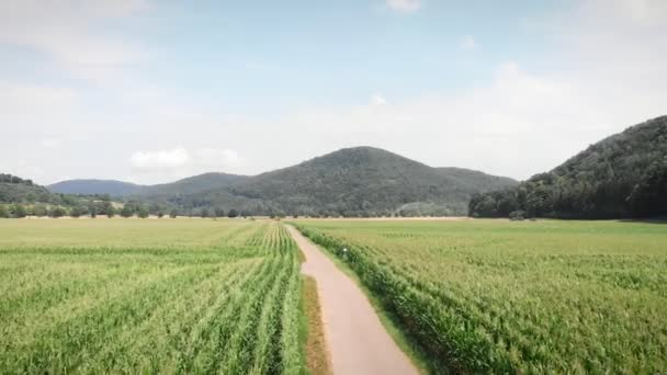 Green Agriculture Fields Mountain Hills Background Narrow Countryside Road Green — Video