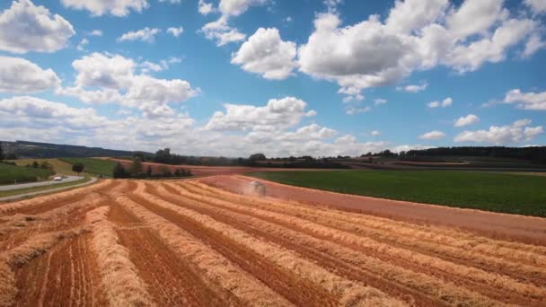 Modern Combine Harvesting Wheat Crop Heavy Machinery Collecting Wheat Yellow — Vídeo de Stock