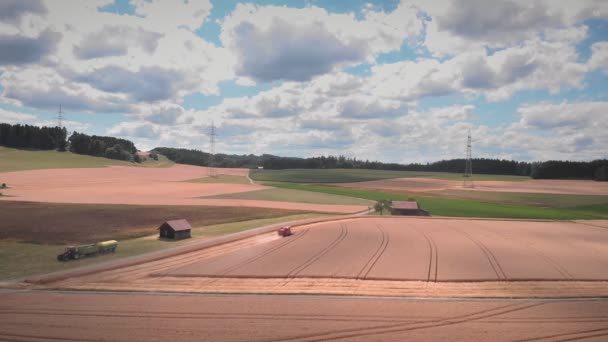 Létě Kombinovat Sklizeň Zralých Pšeničných Plodin Zemědělském Poli Období Sklizně — Stock video