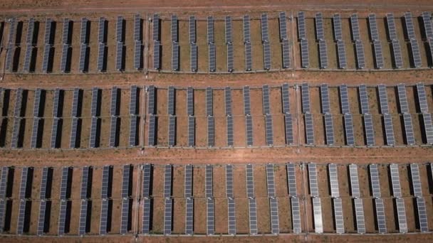Top View Rows Solar Panels Solar Power Plant New Solar — Vídeos de Stock