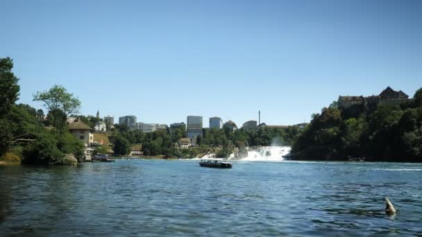 Rhine Waterfall Schaffhausen Switzerland Ship Passengers Tourists Floating Rhine Falls — Vídeo de Stock