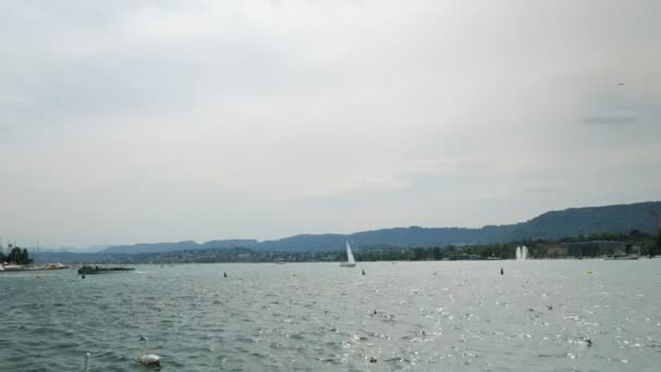 Zurich Lake Boats Yachts Tourists Floating Lake Zurich Summertime Regatta — Stock video