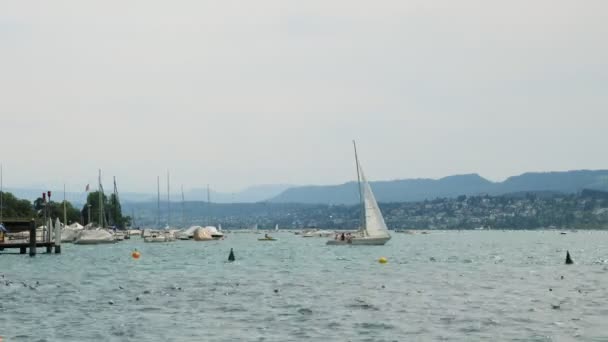 Regatta Lake Zurich Luxury White Yachts Moored Marina Lake Zurich — Stok video