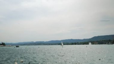 Beautiful lake in Zurich with sailing boats, yachts and ships, swans and gulls at summer day. Tourists floating on ships and catamarans on Zurich Lake, enjoying summer vacation. Leisure activity