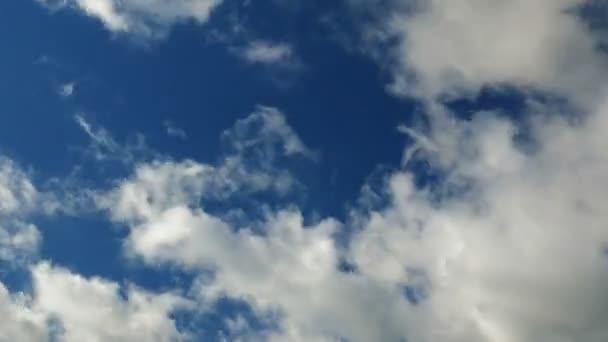 Nuvens Brancas Fofas Contra Céu Azul Lapso Tempo Nuvens Movendo — Vídeo de Stock