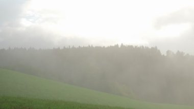 Dağlarda sisli bir sabah. Sonbahar dağlarında çam ağaçlarından gölgeler olan sisli bir çam ağacı ormanı. Dağlarda yağışlı hava. İnanılmaz sonbahar doğası.