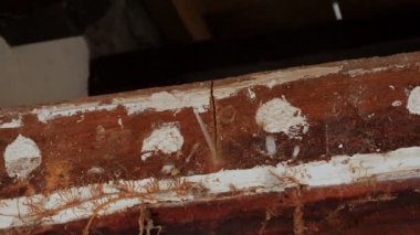 İnşaat alanında tahta tuğlayı elektrikli testereyle parçalayan bir ahşap işçisi. Eski evin tadilatı. Elektrikli testere ile odun kesen inşaat işçisi. Adam yıkım alanında odun kesiyor.