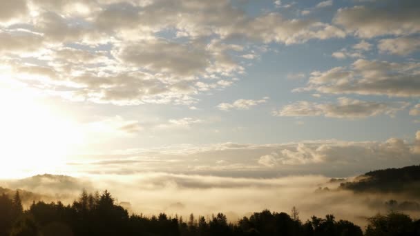 黄金の日の出に雲と山 太陽の光で松の木の森の上に朝霧霧 白いふわふわの雲が朝の空を背景にシルエットの山で動く時間の経過 — ストック動画