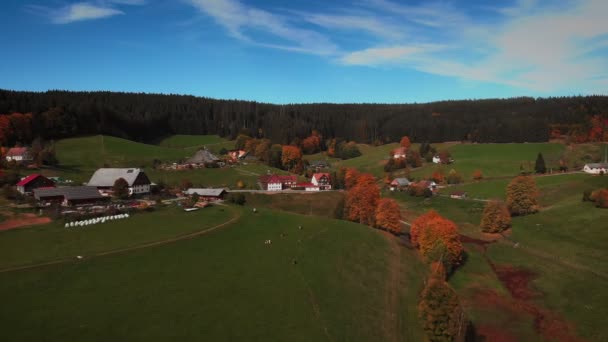 Terbang Atas Desa Pegunungan Pada Musim Gugur Pemandangan Pedesaan Yang — Stok Video