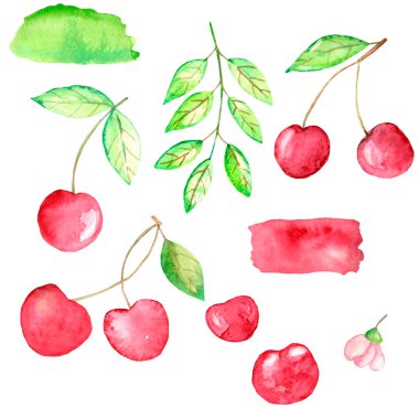 suluboya set el çizimi kiraz elementi