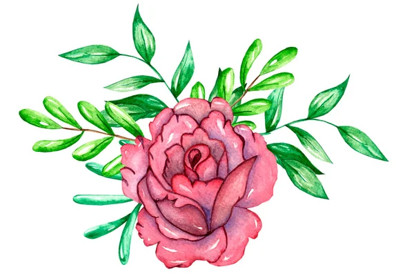 Bouqet Roses Floral Element Watercolor Nand Drawing — Stock Photo, Image