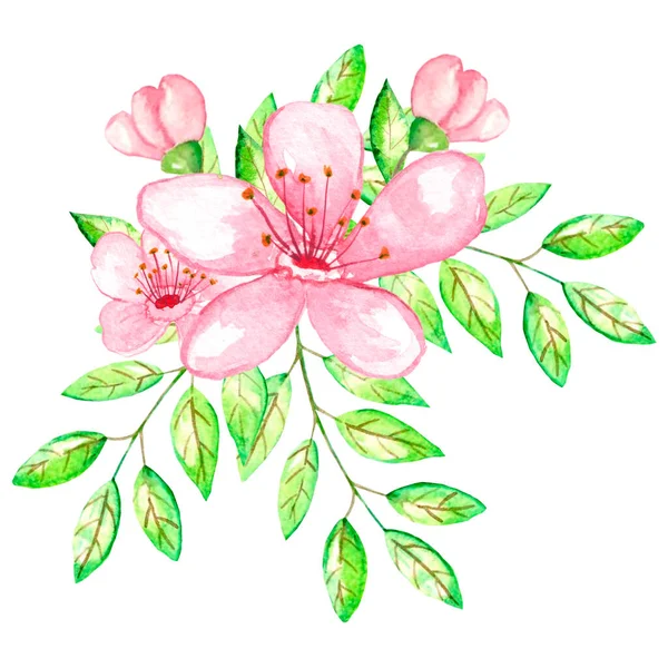 벚꽃을 그리는 수채화 — 스톡 사진