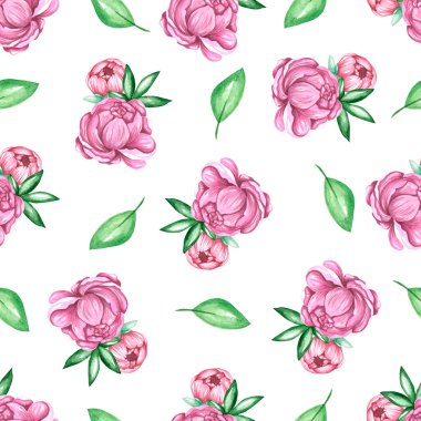 Suluboya desensiz bahçe çiçekleri yükseldi ve pionya