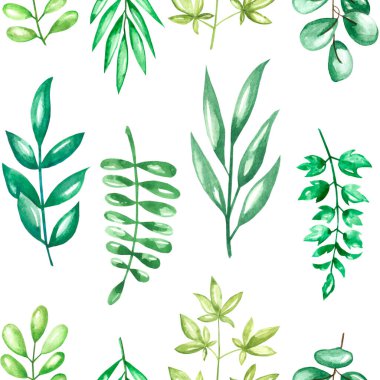 Suluboya desensiz bahçe çiçekleri yükseldi ve pionya