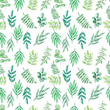 Suluboya desensiz bahçe çiçekleri yükseldi ve pionya