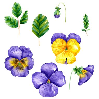 Çiçeklerin suluboya bahar çelengi