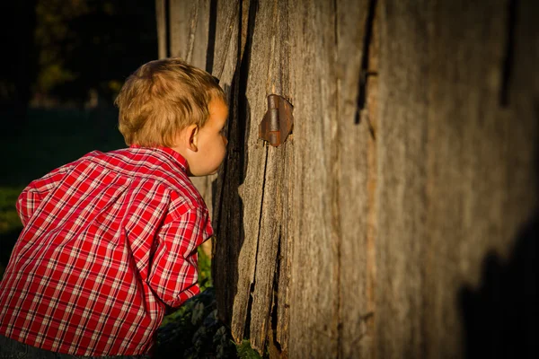 Jovem garotinho espreita no celeiro — Fotografia de Stock