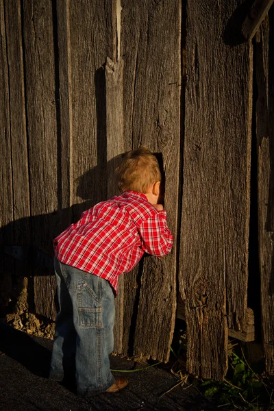 Young Boy Peeks in the Barn Stock Photo