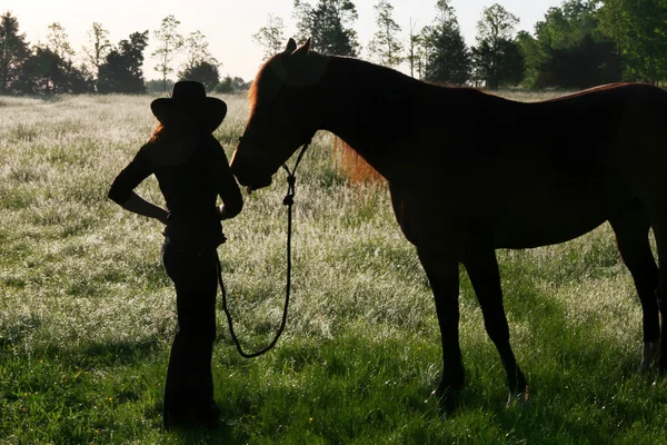 一个女孩和她的马系列 — 图库照片
