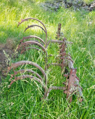 eski Kültivatör çimlere gömdü