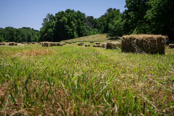 Square Hay Bales — Stock Photo, Image