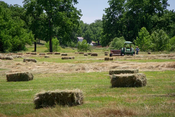 Boer haying veld — Stockfoto