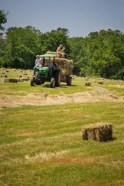 Boeren zonen hooibalen stapelen — Stockfoto