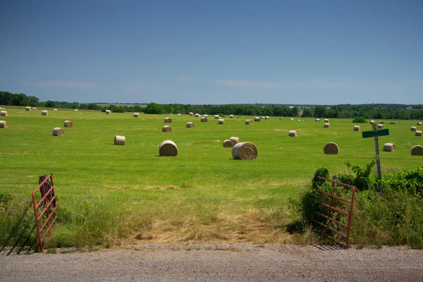Field of Round Hay Bales — Stock Photo, Image