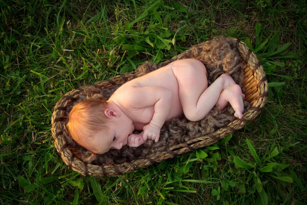 Ein aufmerksames Neugeborenes im Körbchen draußen — Stockfoto
