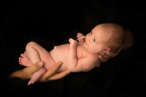 Fäder händer som håller nyfödda — Stockfoto