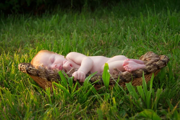 A Sleeping Newborn Baby in Basket outside — Stock Photo, Image