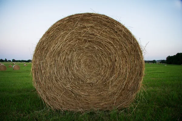 Round Hay Bales — Stock Photo, Image