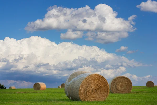Nuvens acumuladas sobre campo de feno — Fotografia de Stock