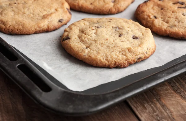 Freshly baked chocolate chip cookies — Stock Photo, Image