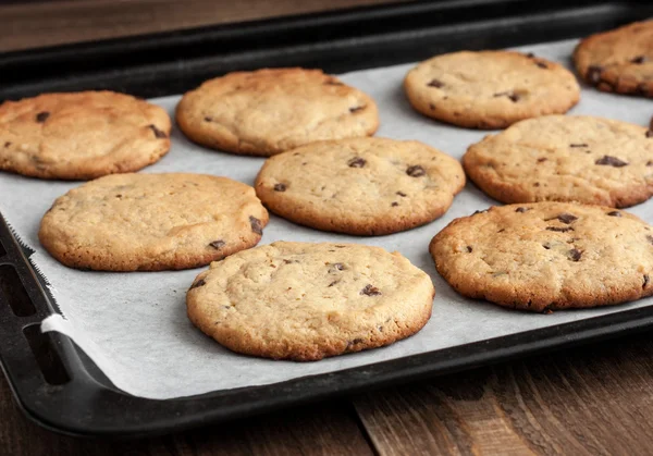 Freshly baked chocolate chip cookies — Stock Photo, Image