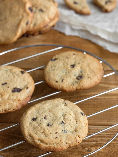 Freshly baked chocolate chip cookies — Stock Photo, Image