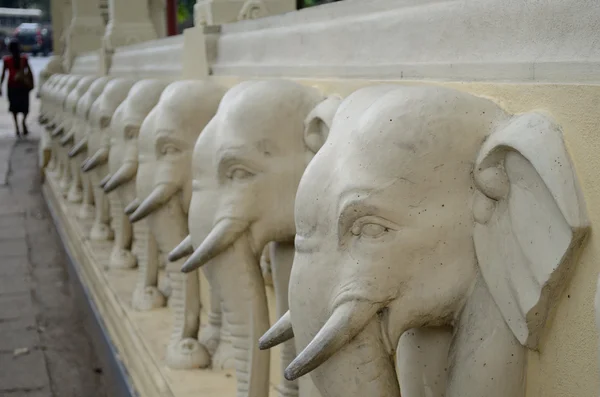 Elephants — Stock Photo, Image