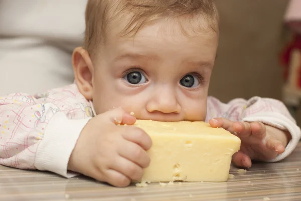 7 ヶ月の赤ちゃんは、チーズの大きな部分を食べる ストック画像