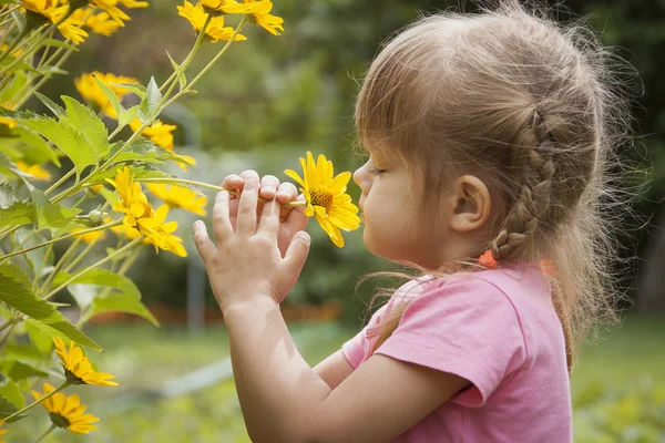 Treårig flicka sniffa gul blomma — Stockfoto